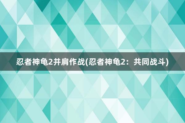 忍者神龟2并肩作战(忍者神龟2：共同战斗)